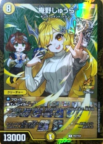 庵野しゅうら(P87/Y24)