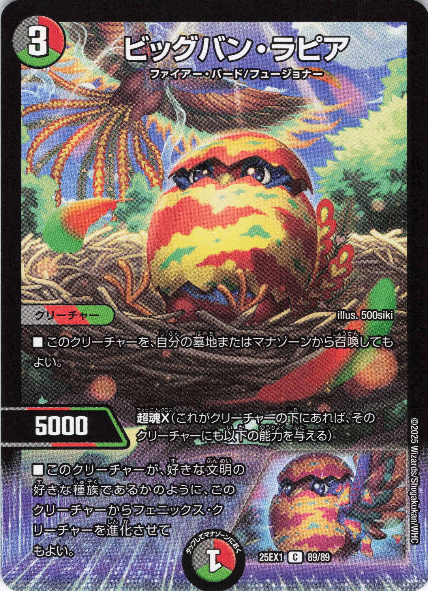 ビッグバン・ラピア(25EX1-89/89)